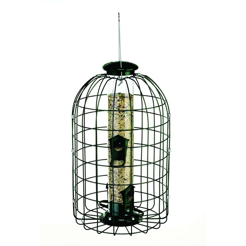 Audubonwoodlink Squirrel Proof Caged Tube Bird Feeder And Reviews Wayfair